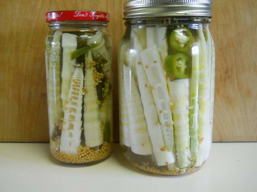 Jars of pickles.JPG